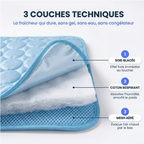 Tapis Rafraîchissant pour Chien — Miléou®