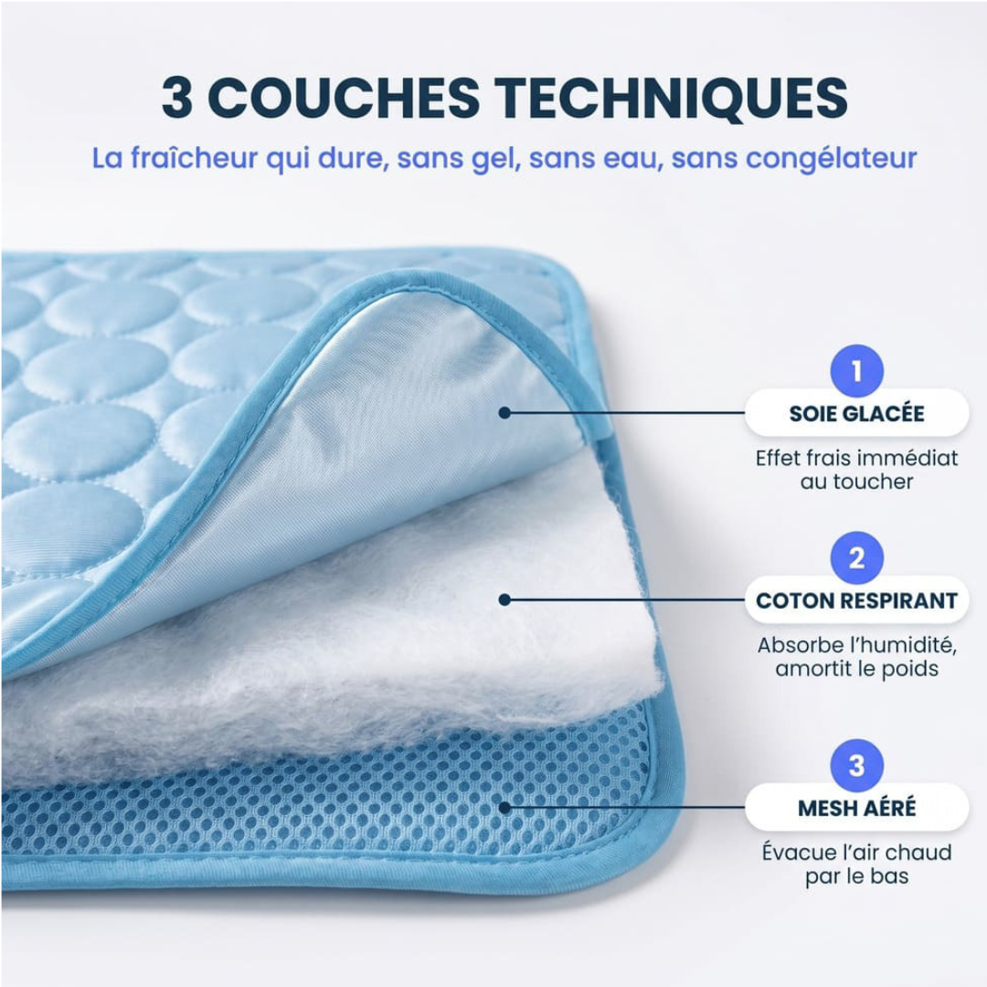 Tapis Rafraîchissant pour Chien — Miléou®