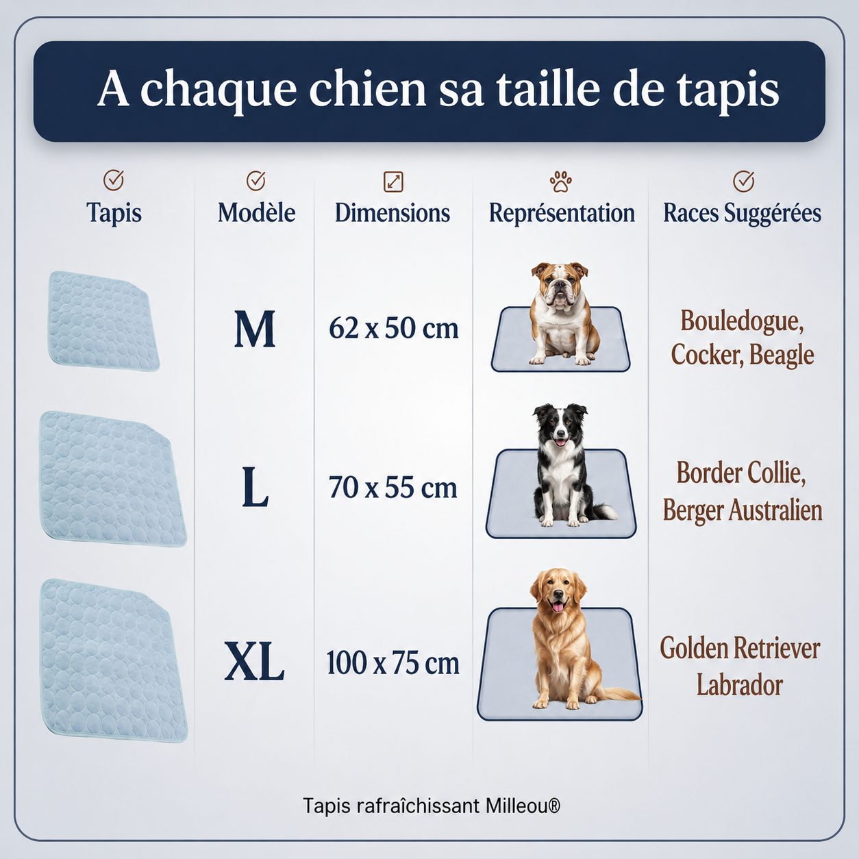 Tapis Rafraîchissant pour Chien — Miléou®