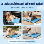 Tapis Rafraîchissant pour Chien — Miléou®