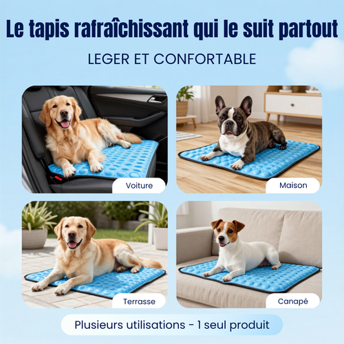 Tapis Rafraîchissant pour Chien — Miléou®