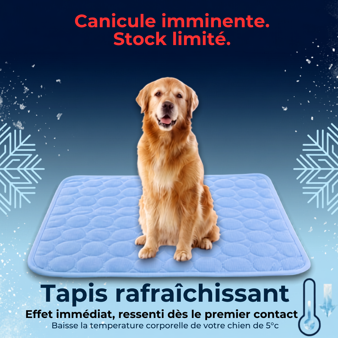 Tapis Rafraîchissant pour Chien — Miléou®