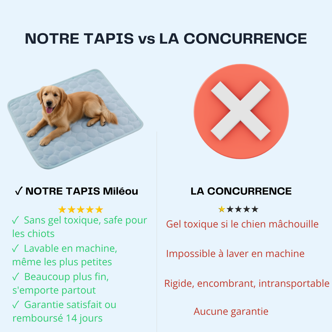 Tapis Rafraîchissant pour Chien — Miléou®
