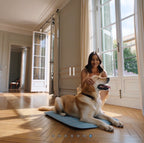 Tapis Rafraîchissant pour Chien — Miléou®